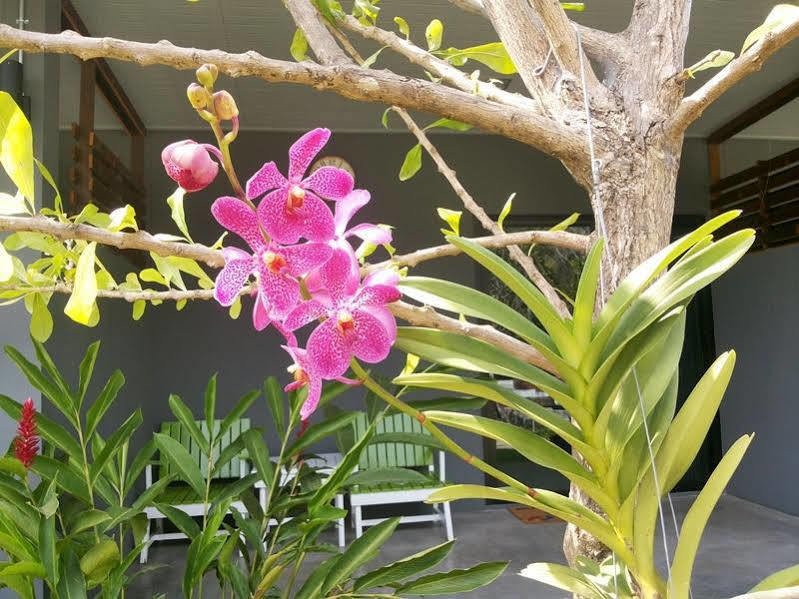 קנצ'נבורי Kanvela Resort מראה חיצוני תמונה