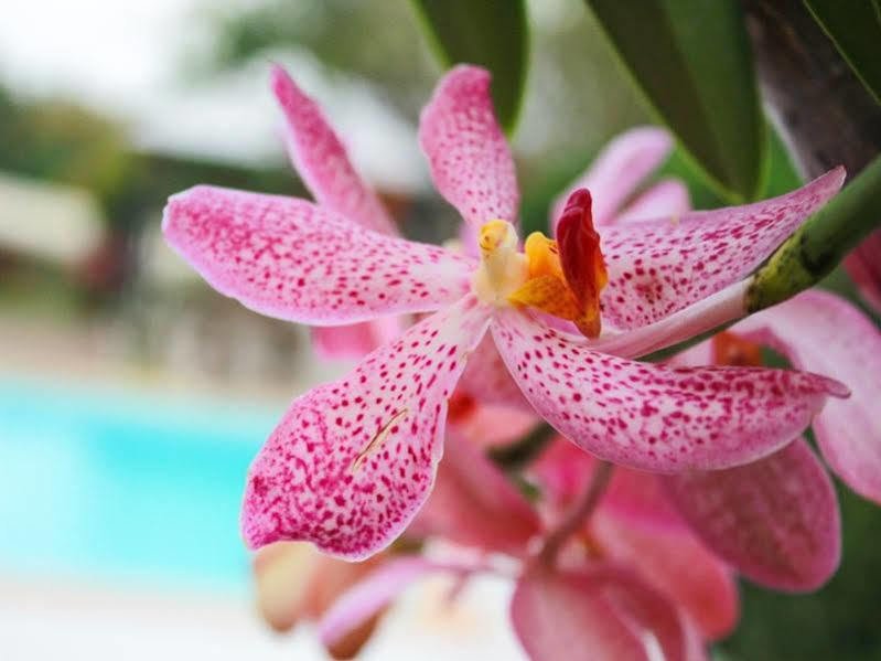 קנצ'נבורי Kanvela Resort מראה חיצוני תמונה